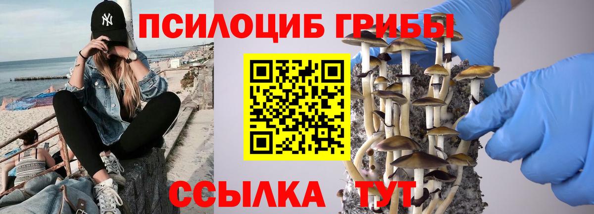 купить   Вход с VPN  Скопин  Галлюциногенные грибы Magic Shrooms 