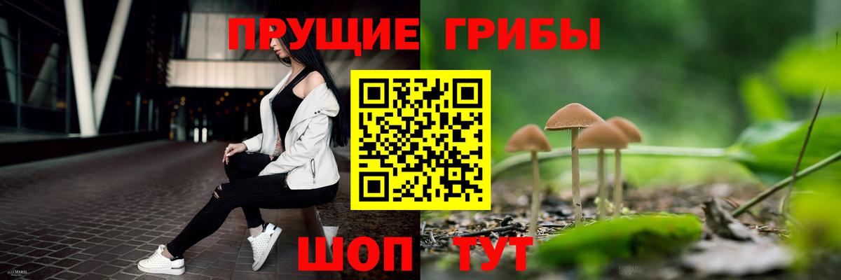Галлюциногенные грибы прущие грибы Скопин